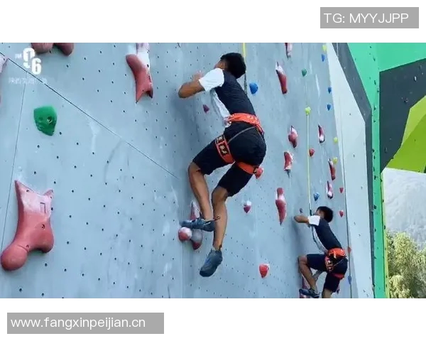 攀岩高手陈磊揭秘成功秘诀与心路历程分享