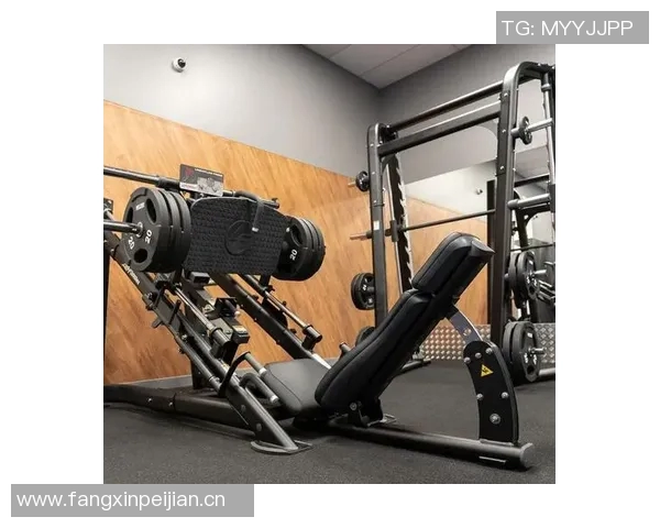 腿部健身器材推荐让你拥有强劲下肢的利器